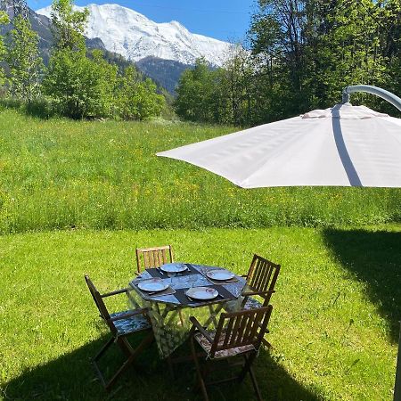 Appartement Lumineux Et Cosy En Rez De Jardin Saint-Gervais-les-Bains Exteriör bild