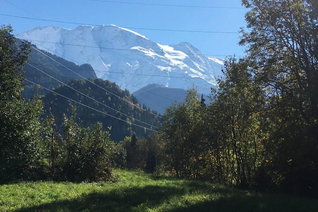 Appartement Lumineux Et Cosy En Rez De Jardin Saint-Gervais-les-Bains Exteriör bild